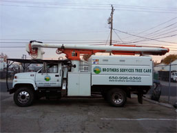 About Brothers Tree Services